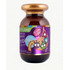 儿童益生菌健康软糖 帮助消化 调节肠胃 宝宝吃饭香  200g SpringLeaf